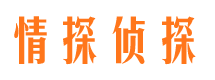 西藏寻人公司